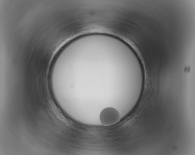 X0000111620391200907171110