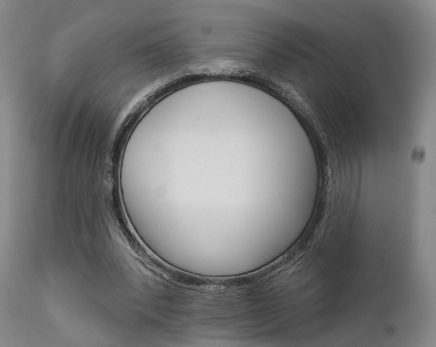 X0000111620392200907171110