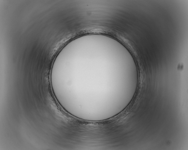 X0000111620394200907171109
