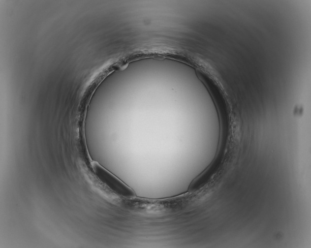 X0000111620395200907171109