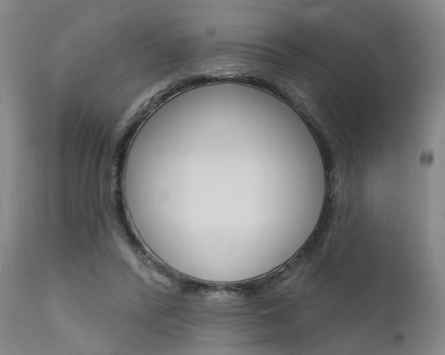 X0000111620400200907171109