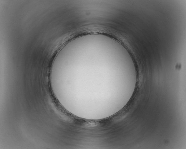 X0000111620402200907171109