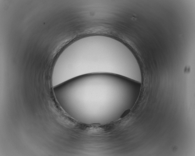 X0000111620403200907171109