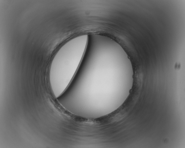 X0000111620404200907171109