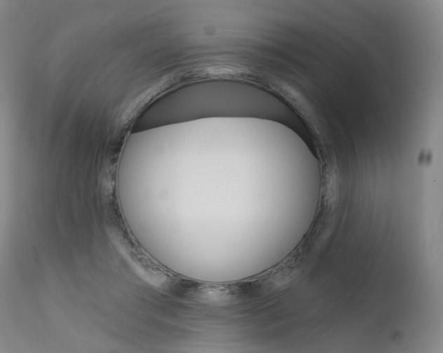 X0000111620405200907171109