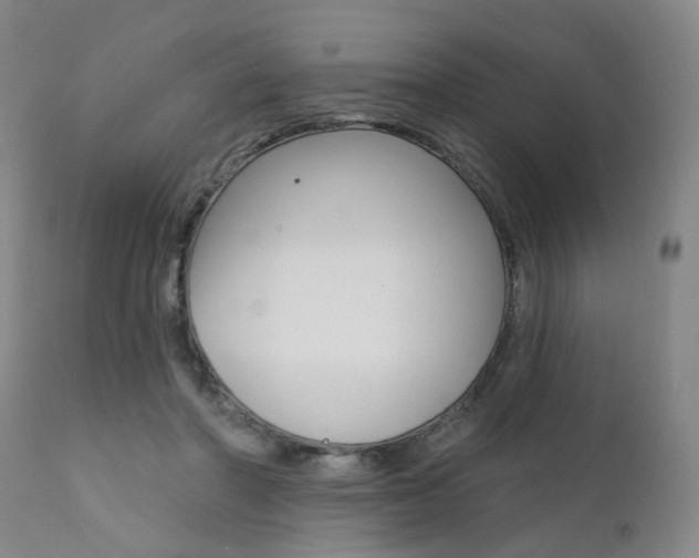 X0000111620406200907171109