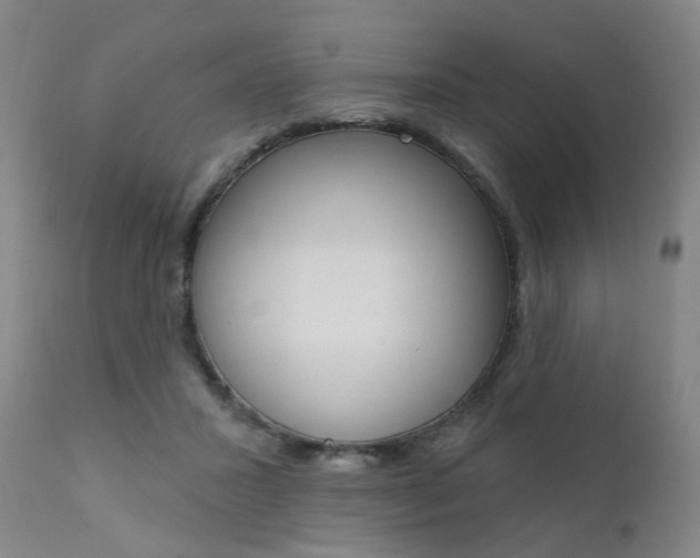 X0000111620407200907171109