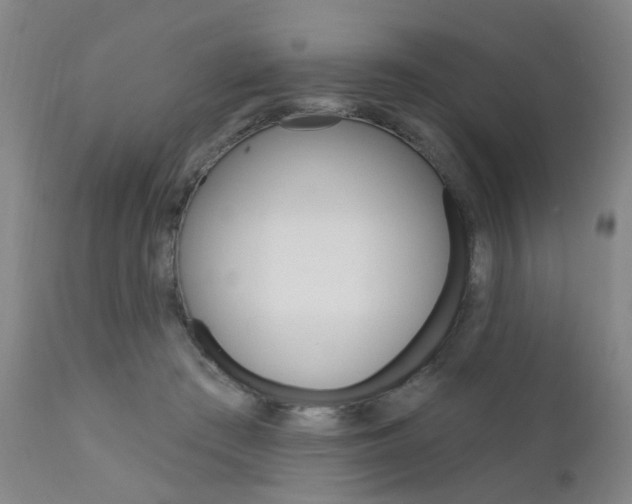 X0000111620409200907171109