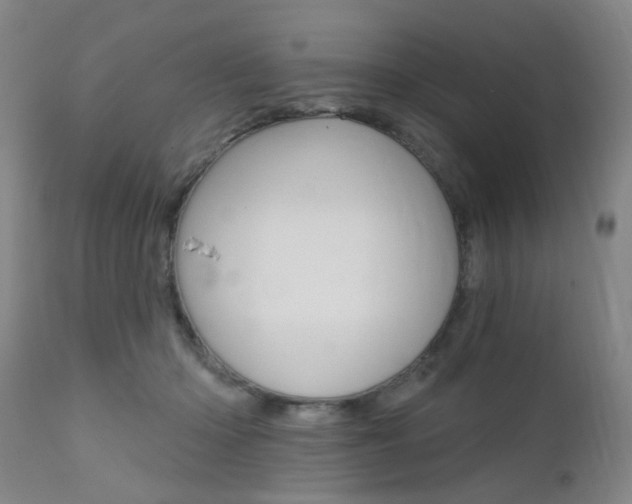 X0000111620414200907171109