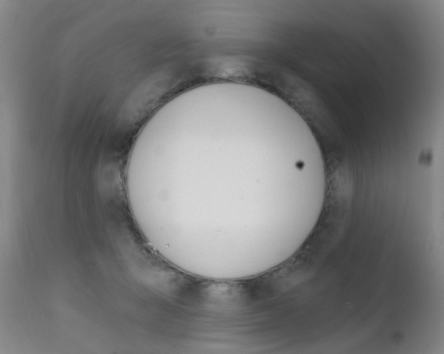 X0000111620415200907171109