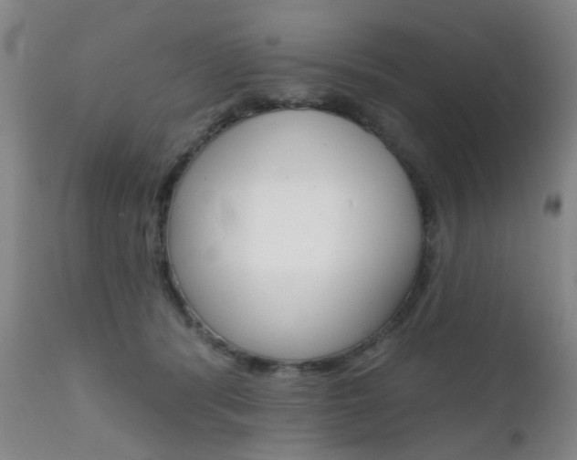X0000111620416200907171109