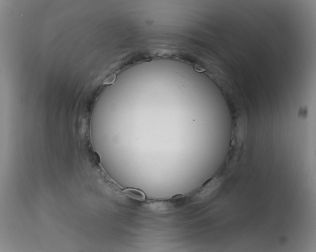 X0000111620417200907171109