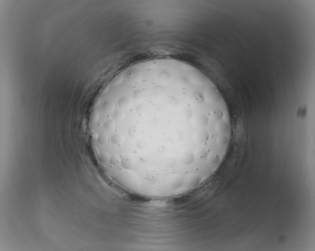 X0000111620418200907171109