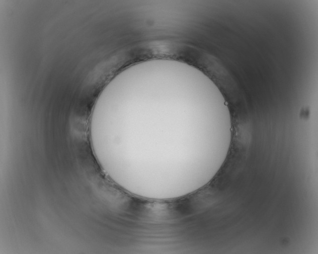 X0000111620419200907171109