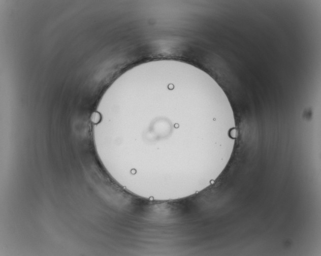 X0000111620423200907171109