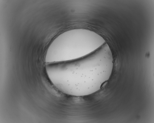 X0000111620424200907171109