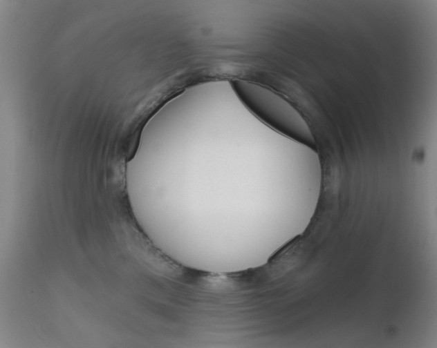 X0000111620425200907171109