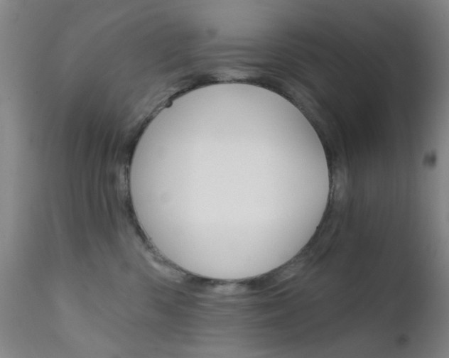 X0000111620426200907171109