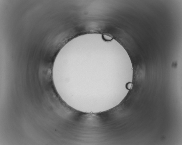 X0000111620427200907171109