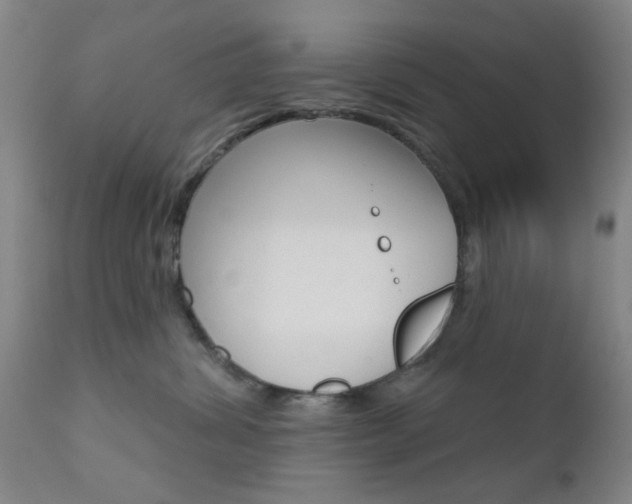 X0000111620428200907171109
