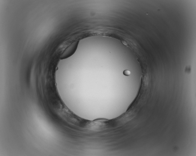X0000111620429200907171109