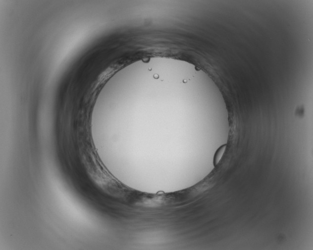 X0000111620430200907171109