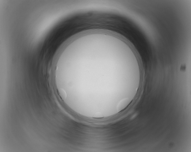 X0000111620431200907171109