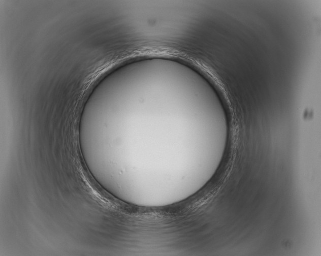 X0000111620433200907171108