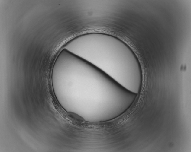 X0000111620434200907171108