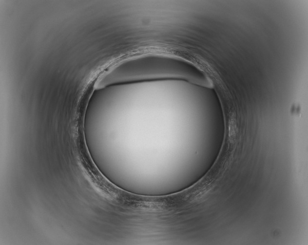 X0000111620436200907171108
