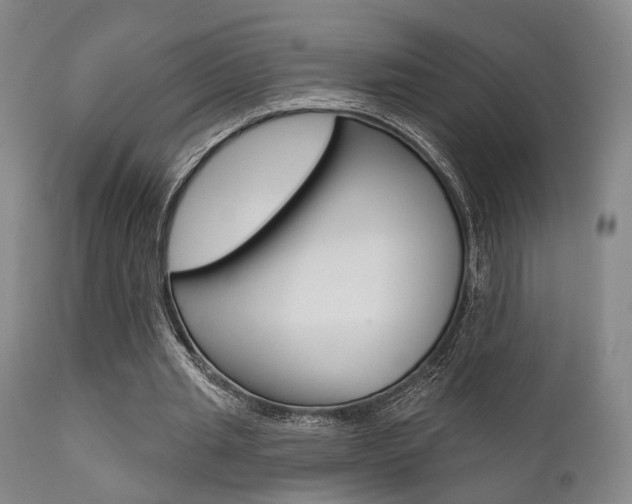 X0000111620437200907171108