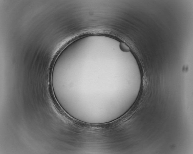 X0000111620438200907171108