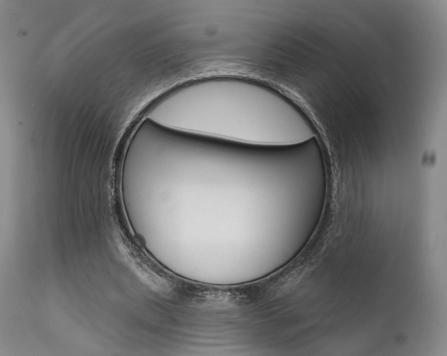 X0000111620439200907171108