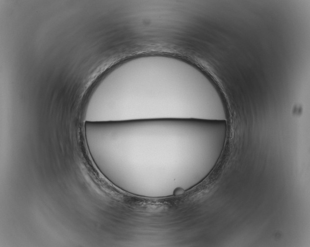 X0000111620443200907171108