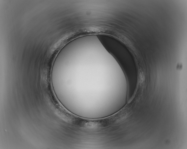 X0000111620444200907171108