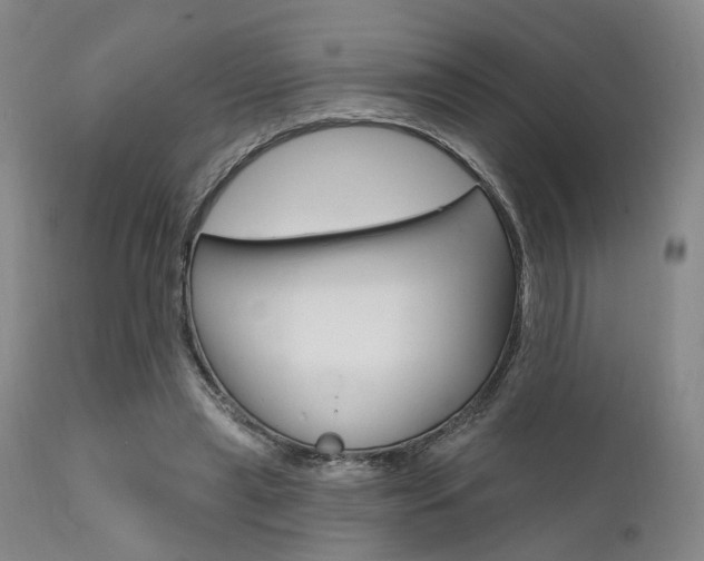 X0000111620445200907171108