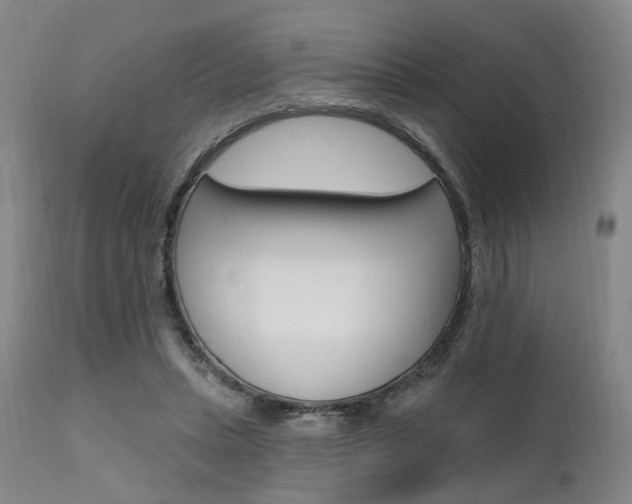 X0000111620447200907171108