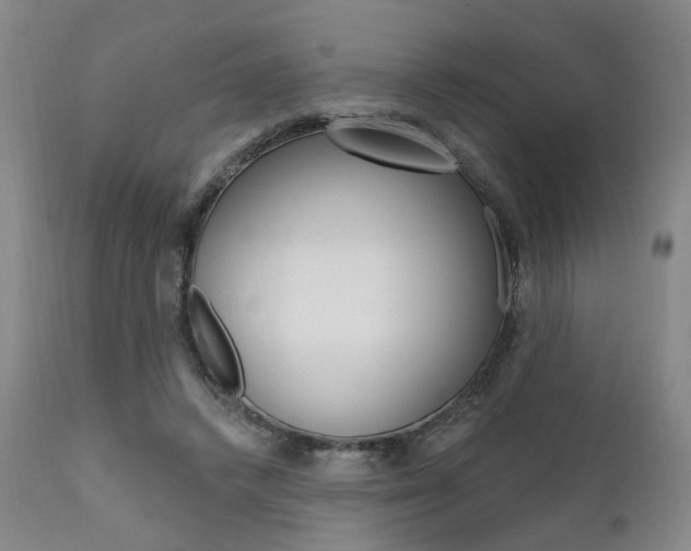 X0000111620448200907171108