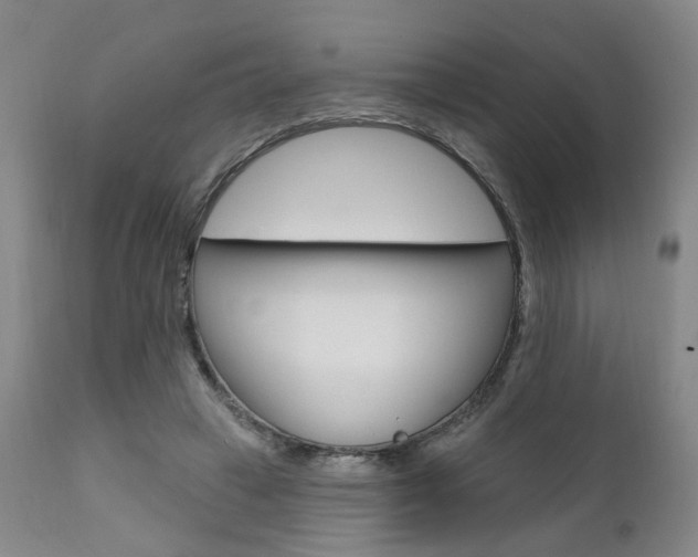 X0000111620449200907171108