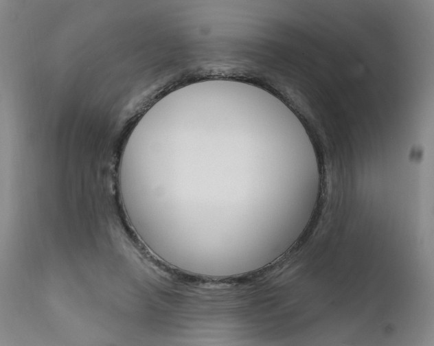 X0000111620450200907171108