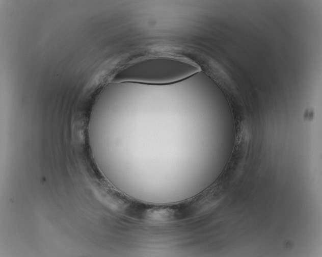 X0000111620452200907171108
