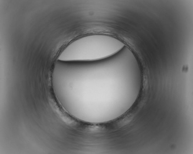 X0000111620453200907171108