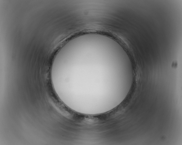 X0000111620455200907171108