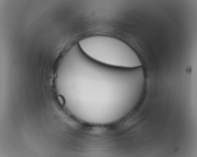 X0000111620458200907171108