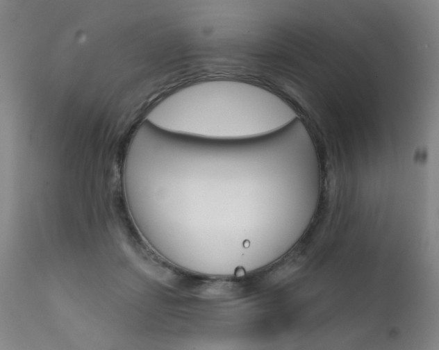 X0000111620459200907171108