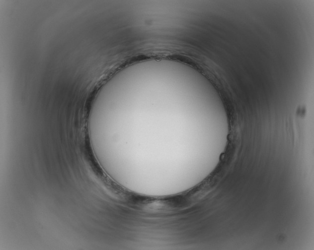 X0000111620460200907171109