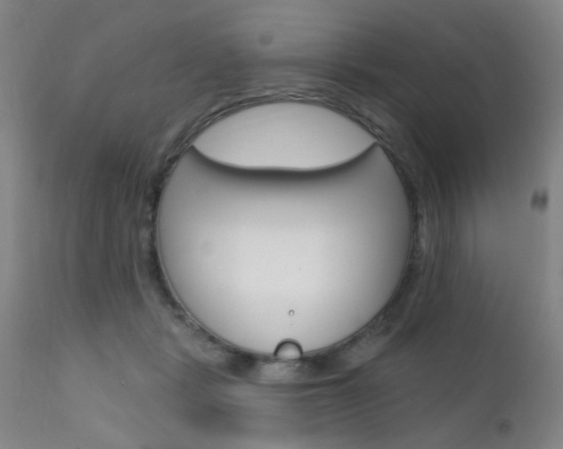 X0000111620461200907171109