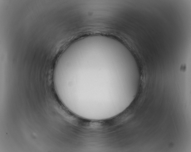 X0000111620462200907171109