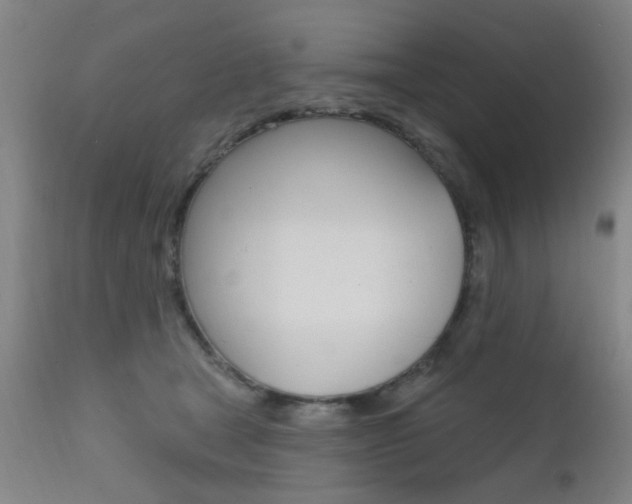 X0000111620465200907171109