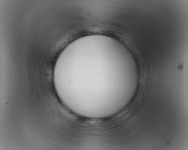 X0000111620466200907171109
